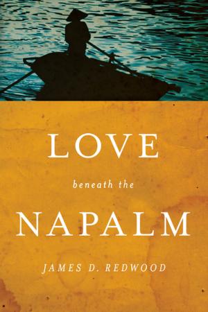 Cover of the book Love beneath the Napalm by Jeffrey Allen Davis