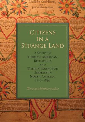 Cover of the book Citizens in a Strange Land by Denise Schaeffer