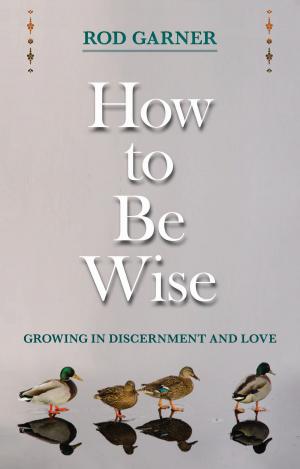 Cover of the book How To Be Wise by Jerry B. Jenkins