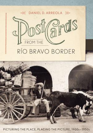 Cover of the book Postcards from the Río Bravo Border by Jon Sorensen, Rocky LeAnn  Pilgrim
