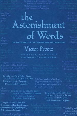 bigCover of the book The Astonishment of Words by 