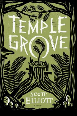 Cover of the book Temple Grove by Trova Heffernan
