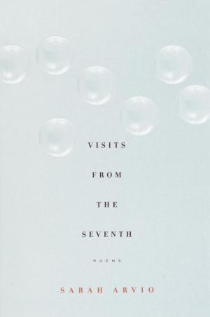 Cover of the book Visits from the Seventh by Stanley Wells