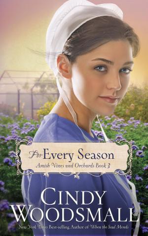 Cover of the book For Every Season by Marlo Schalesky