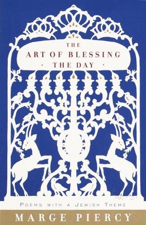 Cover of the book The Art of Blessing the Day by Sissela Bok