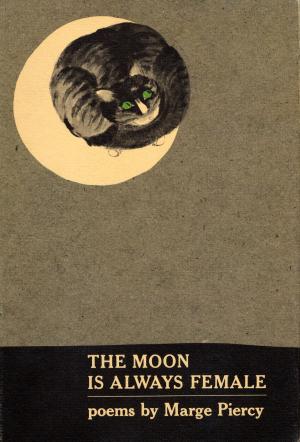 Cover of the book Moon Is Always Female by Ann Beattie