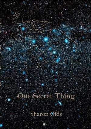 Cover of the book One Secret Thing by Charles Yu