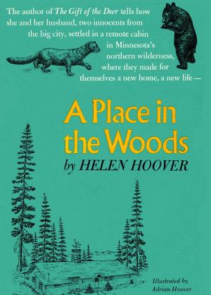 Cover of the book A PLACE IN THE WOODS by Jeff Goodell