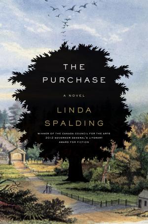 Cover of the book The Purchase by John Updike