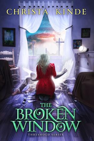 Book cover of The Broken Window