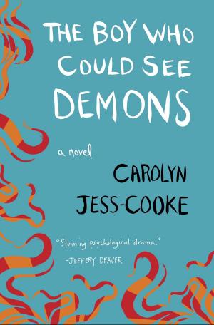 Book cover of The Boy Who Could See Demons