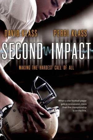 Cover of the book Second Impact by David Klass