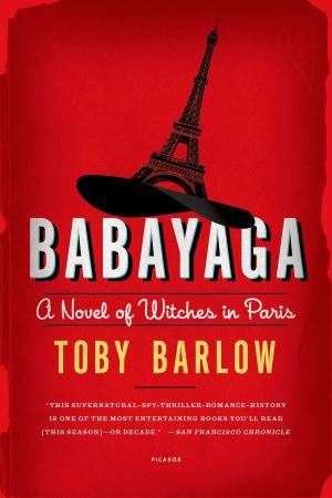 Cover of the book Babayaga by John Wray