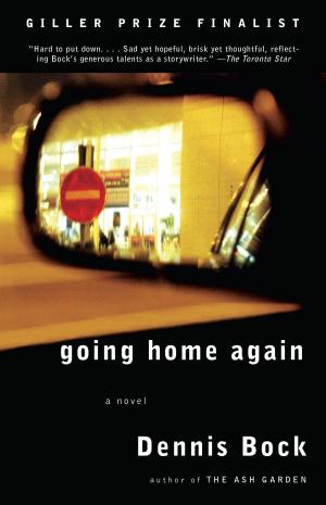 bigCover of the book Going Home Again by 