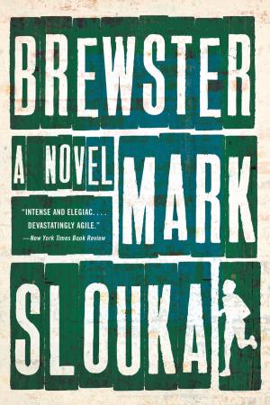 Cover of the book Brewster: A Novel by Jane Kamensky