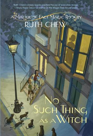 Cover of the book A Matter-of-Fact Magic Book: No Such Thing as a Witch by Annie Silvestro