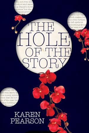 Book cover of The Hole of the Story