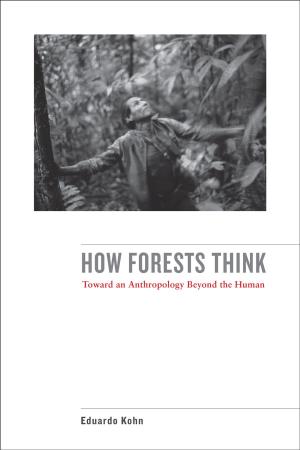 Cover of the book How Forests Think by Richard Abel
