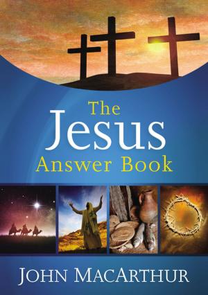 Book cover of The Jesus Answer Book