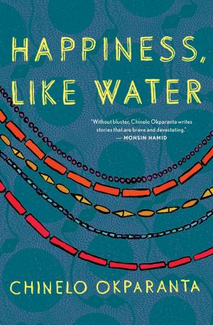 Cover of the book Happiness, Like Water by Lukas Volger, Michael Harlan Turkell