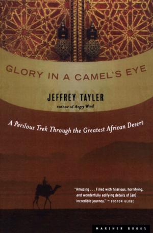 bigCover of the book Glory in a Camel’s Eye by 