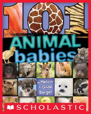 Book cover of 101 Animal Babies