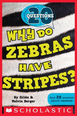 Cover of the book 20 Questions #2: Why Do Zebras Have Stripes? by Lauren Tarshis