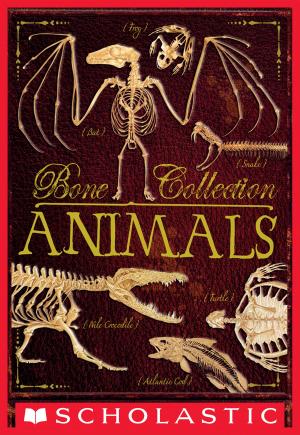 Cover of the book Bone Collection: Animals by Lauren Tarshis