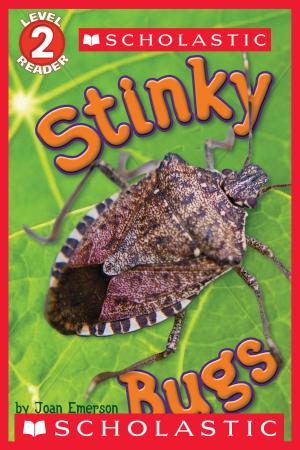 Cover of Scholastic Reader Level 2: Stinky Bugs