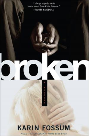 Cover of the book Broken by F. Mark Granato