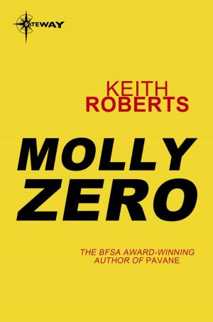 Cover of the book Molly Zero by Gavin G. Smith