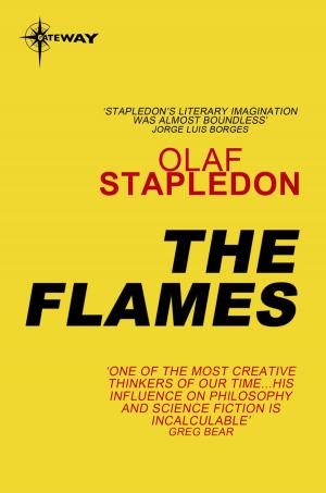 Cover of the book The Flames by Adam Roberts