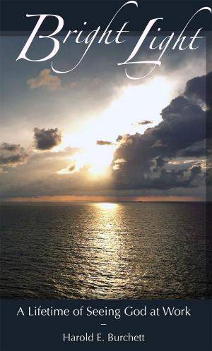 Book cover of Bright Light: A Lifetime of Seeing God at Work