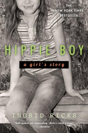 Cover of the book Hippie Boy by Pramoedya Ananta Toer