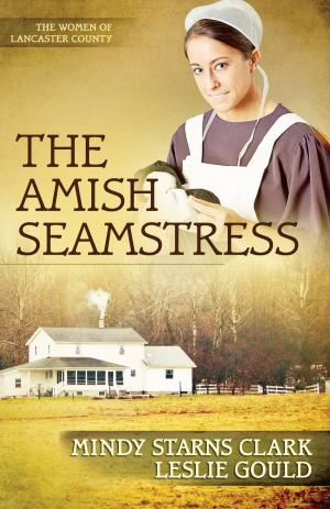 Cover of the book The Amish Seamstress by Georgia Varozza, Kathleen Kerr