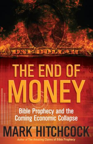 Cover of the book The End of Money by Josh McDowell, Jim Walker