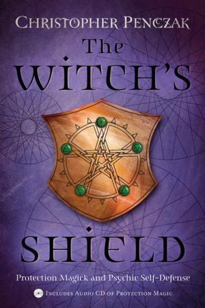 Cover of the book The Witch's Shield by Richard Webster