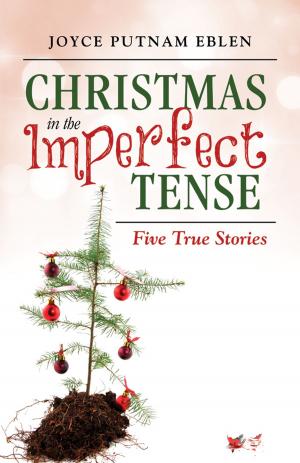 Cover of the book Christmas in the Imperfect Tense by William Jenro Jr.