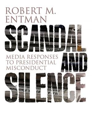 Cover of the book Scandal and Silence by Ruey S. Tsay