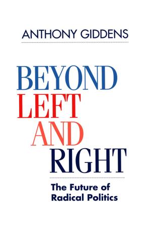 Cover of the book Beyond Left and Right by Vanessa Casadella, Zeting Liu, Dimitri Uzunidis