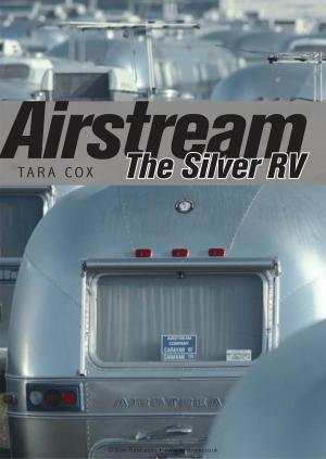 Cover of the book Airstream by Dr Nicholas Papaspyrou