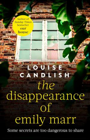 Cover of the book The Disappearance of Emily Marr by Clinton Heylin