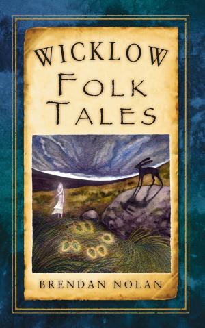Book cover of Wicklow Folk Tales
