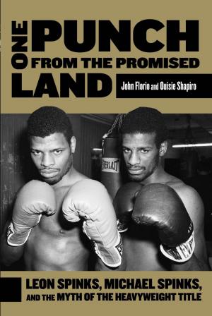 Cover of the book One Punch from the Promised Land by Peter Aleshire