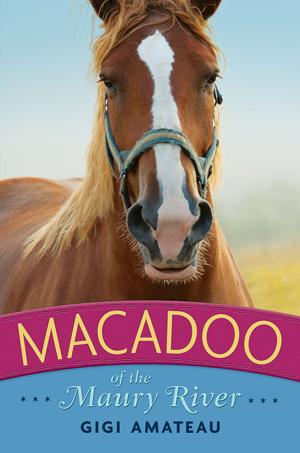 Cover of the book Macadoo: Horses of the Maury River Stables by Amy Rose Capetta