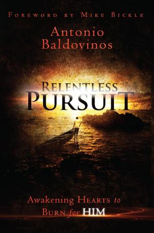 Cover of the book Relentless Pursuit by Bob Lenz