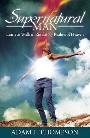 Cover of the book The Supernatural Man by Frank A. DeCenso Jr.