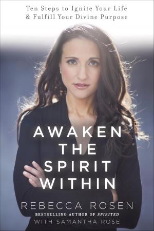 Cover of Awaken the Spirit Within