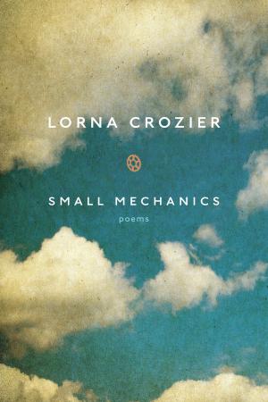 Book cover of Small Mechanics