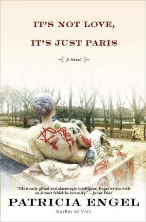 Cover of the book It's Not Love, It's Just Paris by Gustave Le Rouge